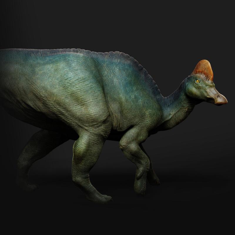 Corythosaurus walking 1-35 scale pre-supported dinosaur