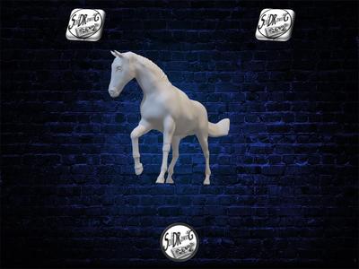 Horse 17