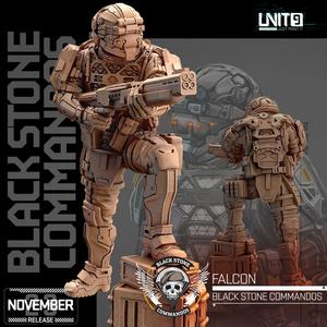 Cyberpunk - Falcon - Black Stone Commandos