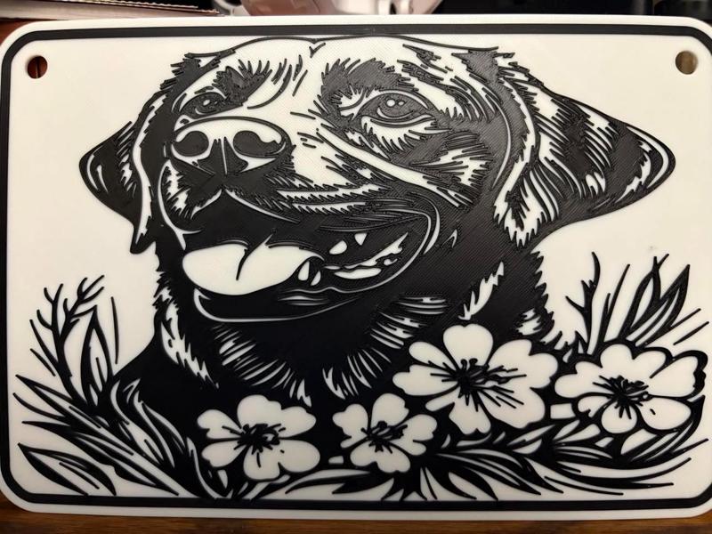happy dog 905