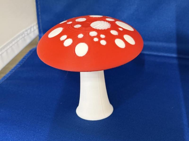 Magnet Mushroom