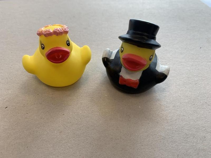 Duck Wedding couple