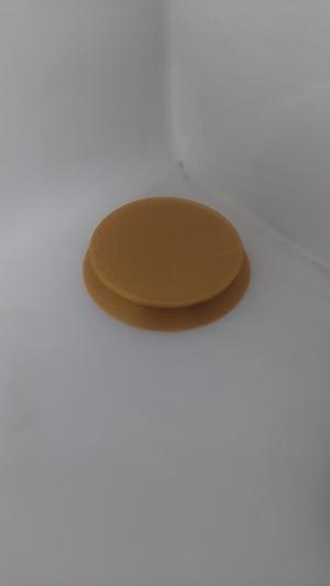 Smaller version of "Best Ant Trap Ever"