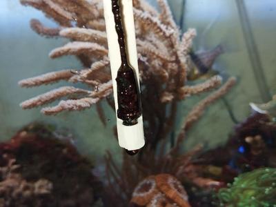 aquarium temperature sensor holder