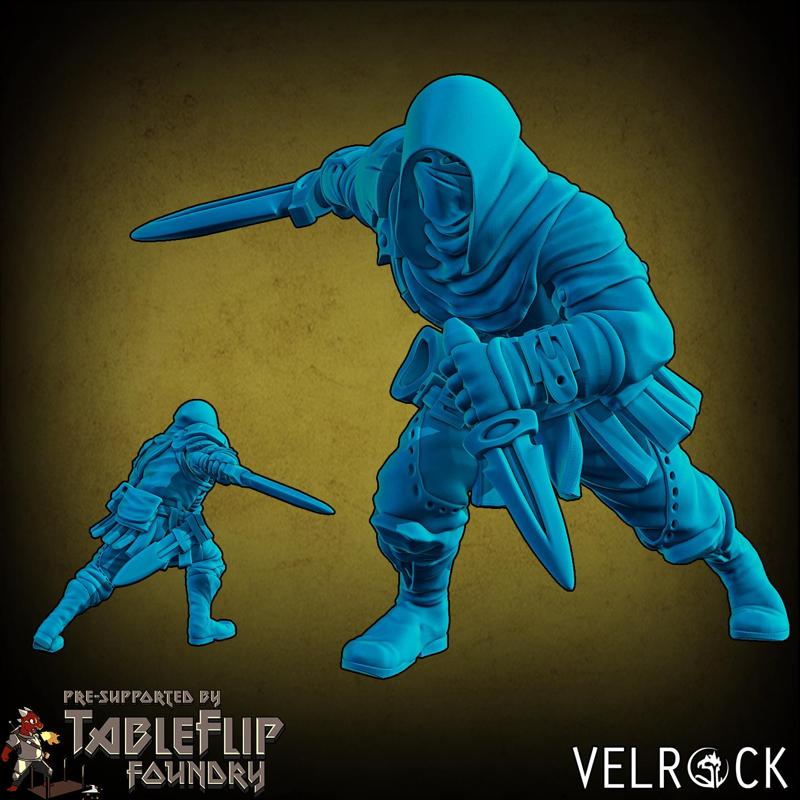 Heroes of Fortune Male Scoundrel with Sword and Dagger (PRESUPPORTED)