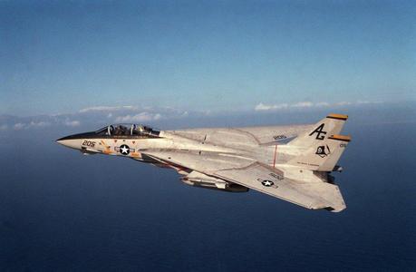 F-14 Tomcat US Navy Fighter Jet (Made Horizontal For Less Support And Smooth Print)