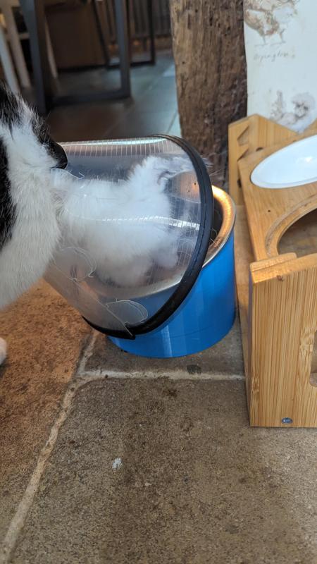 Cone-proof Cat Feeder