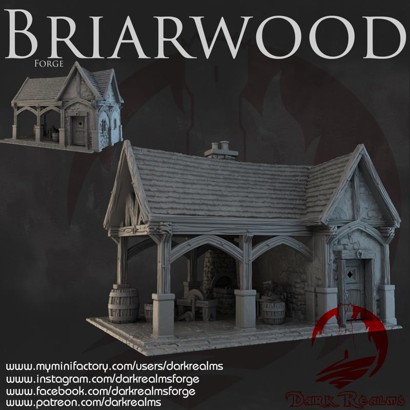Dark Realms - Briarwood - Forge