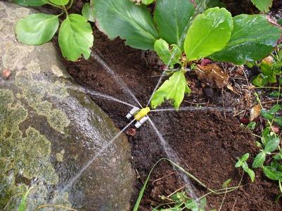 Garden Sprinkler