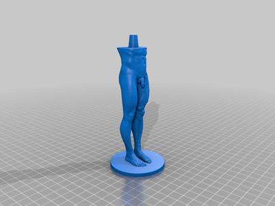 Anatomy reference male body split with socket