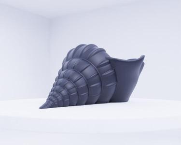 Shell - Natural Coastal Decorative Piece