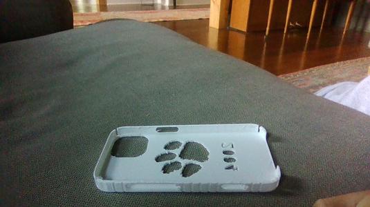 this is a 2004 clemson phonecase