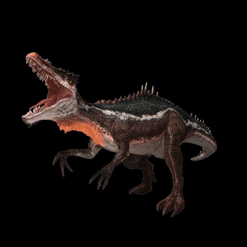 DINOPEX
