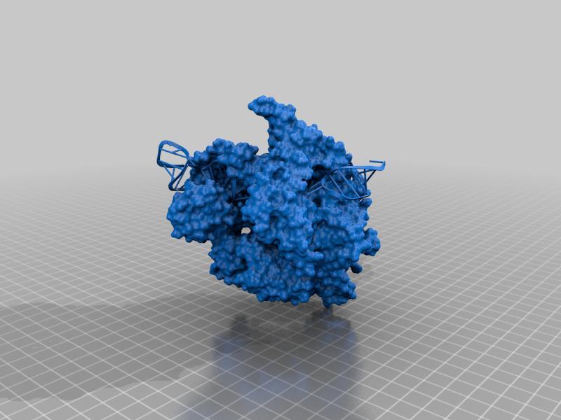 Cas9 target DNA guide RNA complex