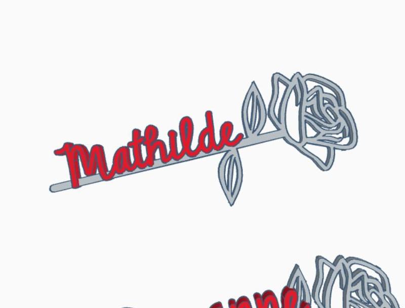 Mother's Day, Rose Mathilde