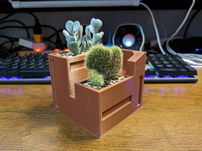 house shelter c-succulent plant pot design