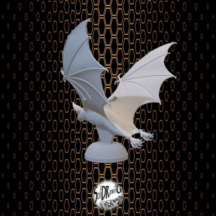 Night Soar – SoliDRawinGs C186