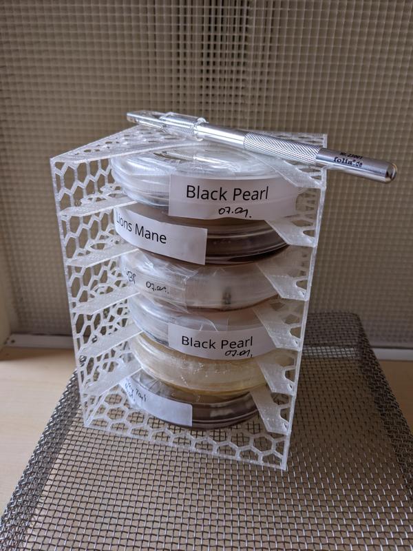 Petri dish rack for 100 mm plates