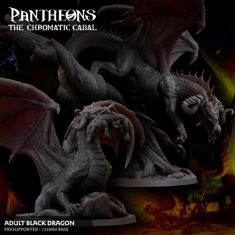 Adult Black Dragon - Pantheons