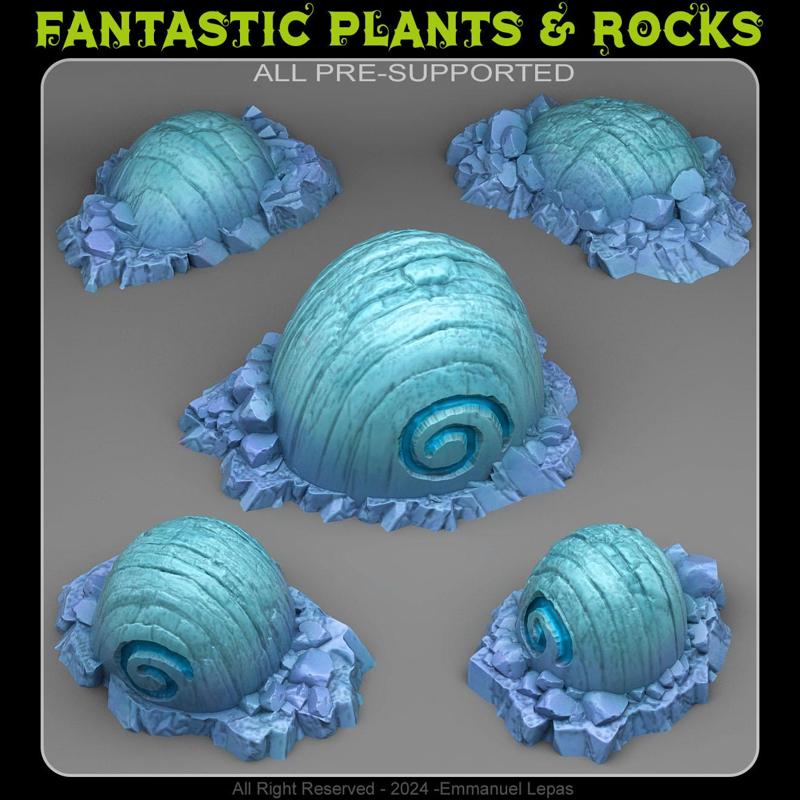 FOSSILISED ICE SNAILS