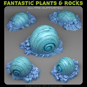 FOSSILISED ICE SNAILS