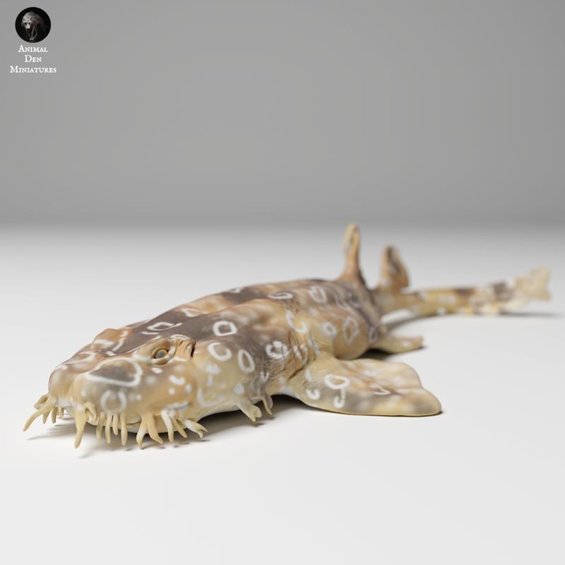 Spotted Wobbegong Shark