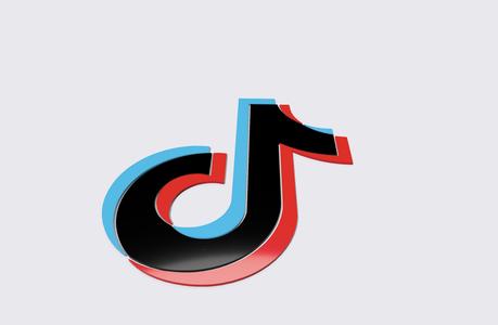 TikTok Logo (Small)