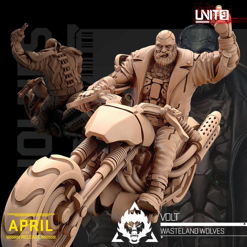 Cyberpunk - Volt on motorbike - Wasteland Wolves