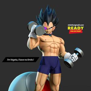 Vegeta with gym