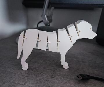 Flexi Dog (Greater Swiss Mountaindog)