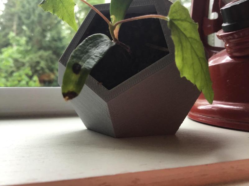 Dodecahedron Planter