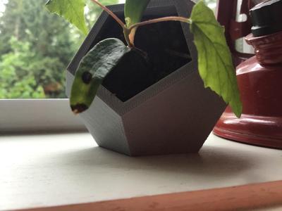 Dodecahedron Planter