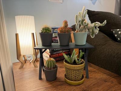 Plant Table