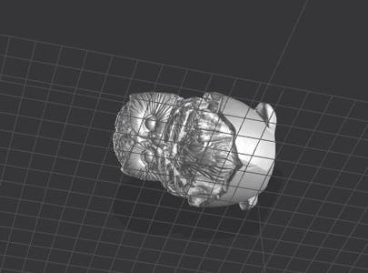 OWL  Scanned by Creality Scanner Otter