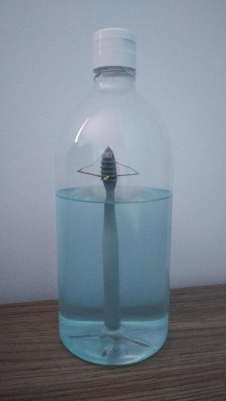 Réplique bateau du RP FLIP