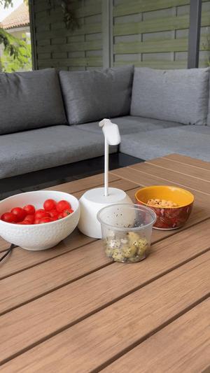 Fly swatter