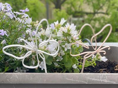 Butterfly Decoration Flowers and Plants