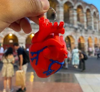 Anatomical Heart Keychain