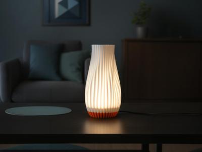 Lamp. Flowing sculptural light for bambu lamp kit