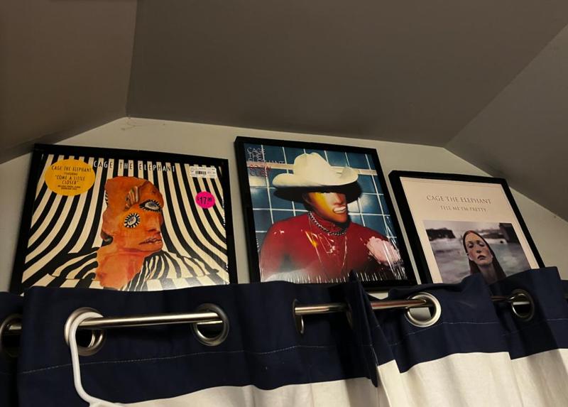 Vinyl/Album Record Wall Mount