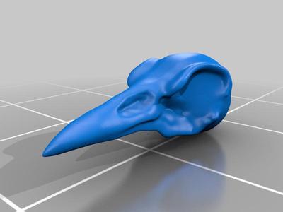 Darwin Finch Skulls - Darwinfinken Schädel