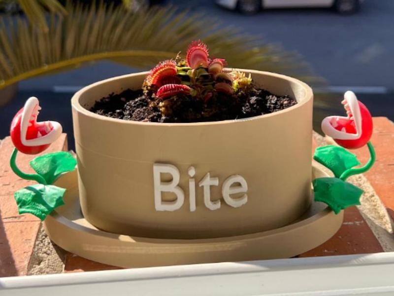 Carnivorous Plant Pot: Bite Edition!