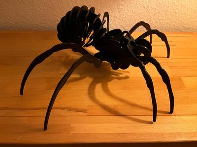 Spider 3D Puzzle