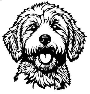 Golden Doodle Puppy Wall Art   