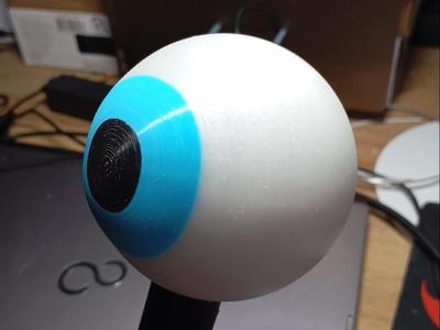 eye