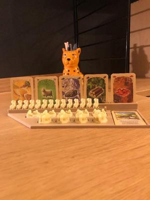 Catan in game organizer, catan card, city, village, street holder, catan upgrade   