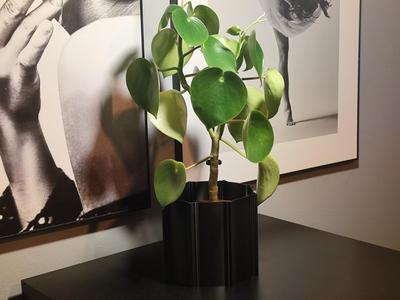 Royal Planter Pot