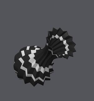 Black White Vase 