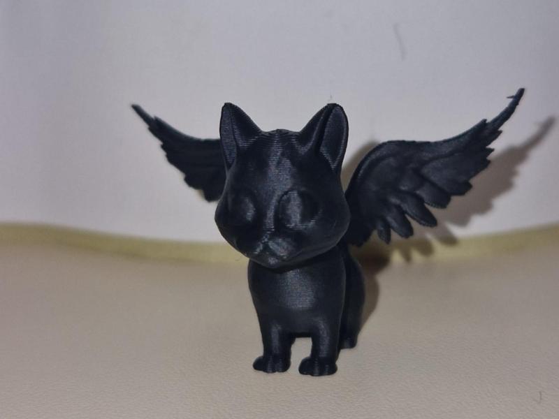 A cat with angel wings