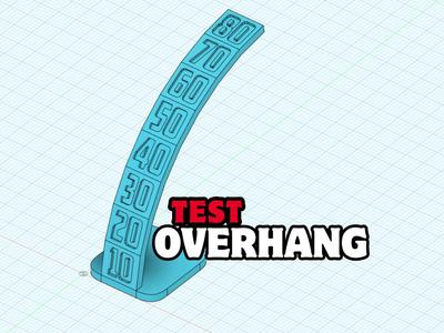 Overhang Test - Bambulab P1 X1 and Other Printers 